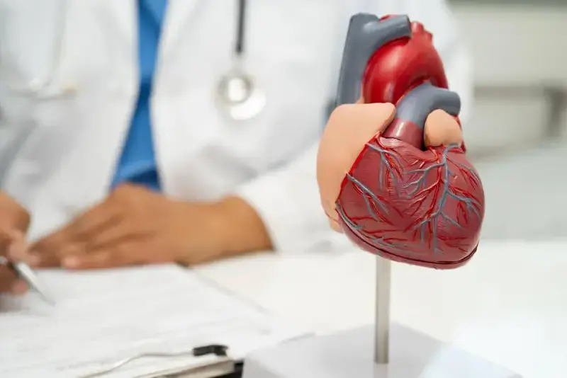 Ultrasonografi ve Ekokardiyografi